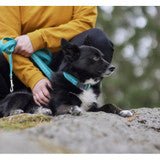Casual Collar(Hurtta) - SnowPaw Store - SnowPaw Store -